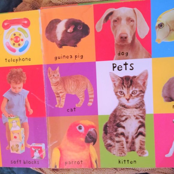 First 100 Words Board Book Roger Priddy baby language kid children language Nice - Picture 2 of 8